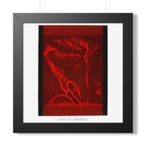 Étienne Trouvelot: Solar Protuberances Astronomical Art Print