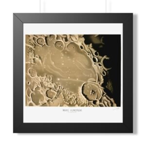 Étienne Trouvelot: Mare Humorum Astronomical Art Print