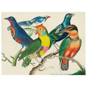les oiseaux Throw Blanket